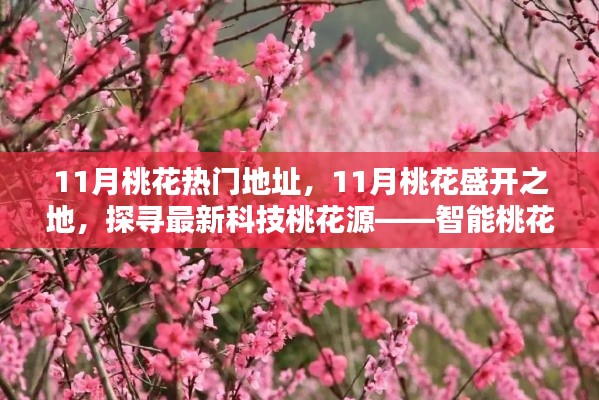 探寻智能桃花生活体验机,揭秘十一月桃花盛开之地的科技桃花源