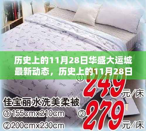 历史上的11月28日华盛大运城动态揭秘,最新进展及其影响——以某某观点为中心