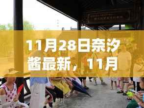 走马观花 第12页