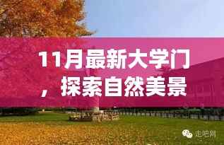 11月最新大学门,探索自然美景之旅,打开心灵之门,开启一场宁静的冒险之旅