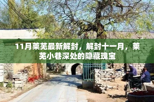 莱芜最新解封,探寻十一月小巷深处的隐藏瑰宝