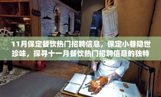 11月保定餐饮热门招聘信息,保定小巷隐世珍味,探寻十一月餐饮热门招聘信息的独特风味之旅
