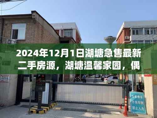 湖塘温馨家园急售二手房源,探寻家的温暖故事,温馨家园等你来购!