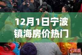 宁波镇海房价最新动态及市场趋势展望,热门消息解析与预测