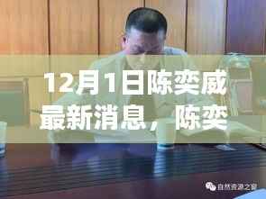 陈奕威冬日自然之旅,探索美景,寻觅内心宁静与喜悦