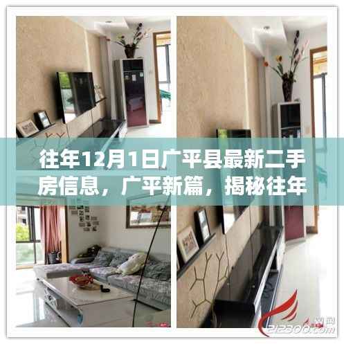 广平新篇,揭秘往年12月1日二手房市场动态与最新房源信息