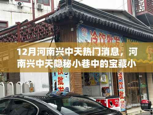 河南兴中天宝藏小店,十二月独家热门探秘之旅