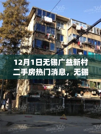 无锡广益新村二手房市场最新动态,热门消息与12月新动向热议及其影响