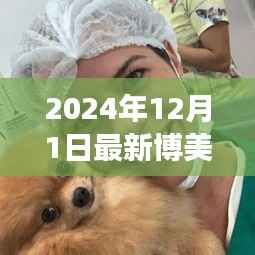 最新博美犬观点阐述与个人立场,深度解析博美犬的魅力与特点(2024年12月更新)