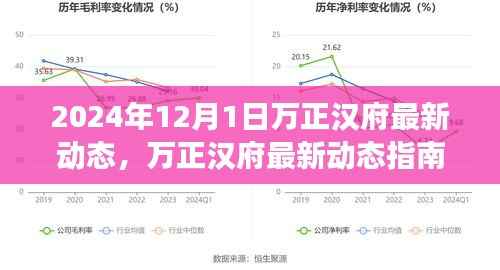 2024年万正汉府最新动态解析,关键步骤指南,轻松应对新变化