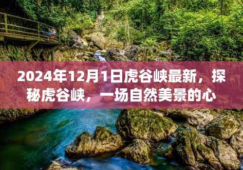 2024年12月1日虎谷峡最新,探秘虎谷峡,一场自然美景的心灵之旅,启程于2024年12月1日