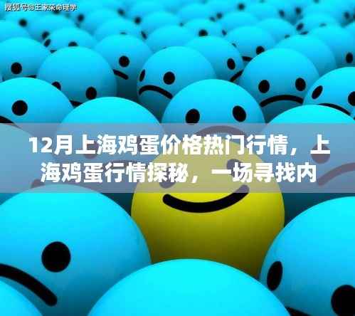 12月上海鸡蛋价格热门行情,上海鸡蛋行情探秘,一场寻找内心平静的鸡蛋之旅