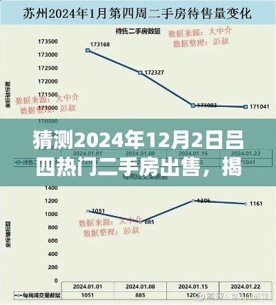 揭秘,吕四热门二手房市场预测——聚焦2024年12月2日的趋势洞察