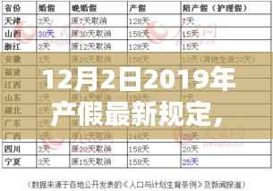 最新产假规定下的女性权益与个人立场分析