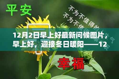 12月2日冬日暖阳问候图片,分享美好早晨,迎接全新一天
