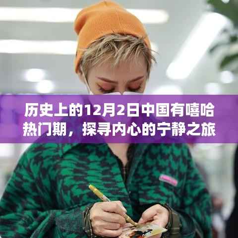 探寻内心宁静之旅，历史上的嘻哈热土与自然的奇妙融合——中国嘻哈热门期回顾