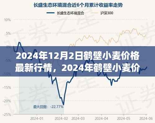 2024年12月2日鹤壁小麦价格最新行情,2024年鹤壁小麦价格最新行情解析及市场分析指南