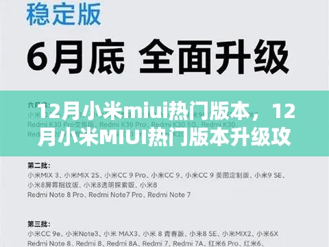 12月小米MIUI热门版本升级攻略,轻松更新操作指南