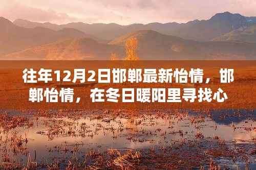 往年12月2日邯郸最新怡情,邯郸怡情,在冬日暖阳里寻找心灵的绿洲