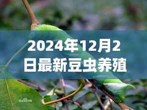 探索自然秘境，豆虫养殖新纪元——揭秘豆虫之旅的心灵启示与最新养殖技术（2024年）