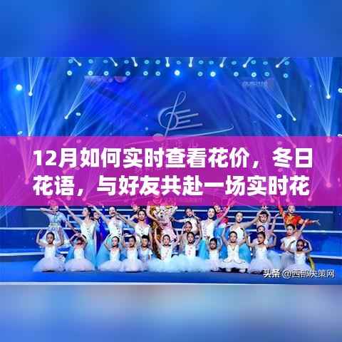 冬日花语探寻之旅,实时查看花价,与好友共赴花价探寻之旅