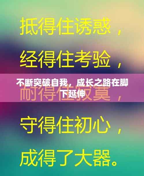 不断突破自我,成长之路在脚下延伸