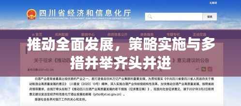推动全面发展,策略实施与多措并举齐头并进
