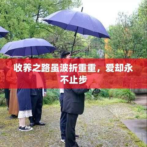 就楼磨刀 第2页