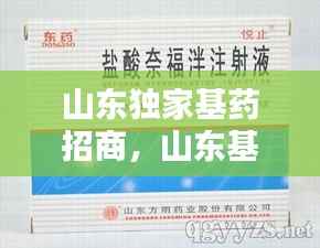 山东独家基药招商,山东基药采购平台