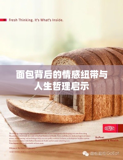 面包背后的情感纽带与人生哲理启示