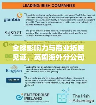 全球影响力与商业拓展见证，英国海外分公司排名榜单重磅出炉！