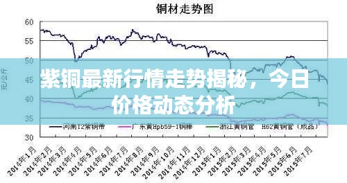 紫铜最新行情走势揭秘,今日价格动态分析