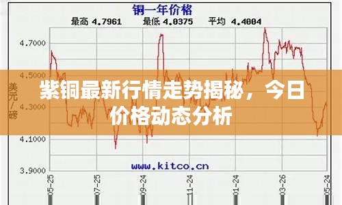 紫铜最新行情走势揭秘,今日价格动态分析