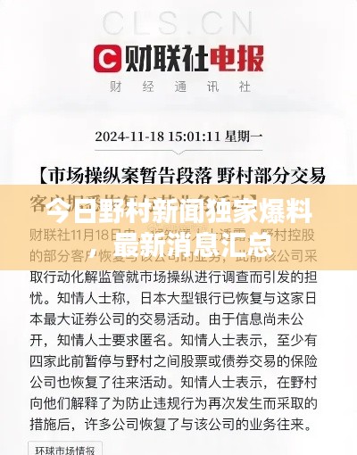 今日野村新闻独家爆料，最新消息汇总