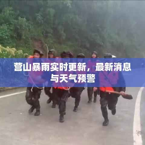 营山暴雨实时更新,最新消息与天气预警