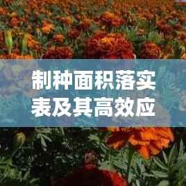 制种面积落实表及其高效应用方案