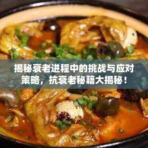 揭秘衰老进程中的挑战与应对策略,抗衰老秘籍大揭秘!