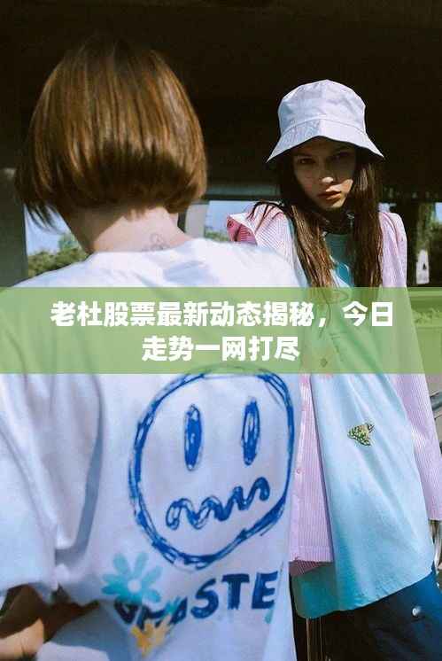 老杜股票最新动态揭秘,今日走势一网打尽
