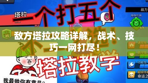 敌方塔拉攻略详解，战术、技巧一网打尽！