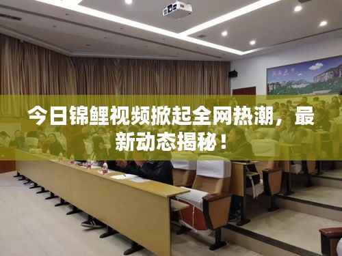 今日锦鲤视频掀起全网热潮,最新动态揭秘!