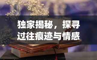 独家揭秘,探寻过往痕迹与情感印记,揭秘原3611记忆之旅