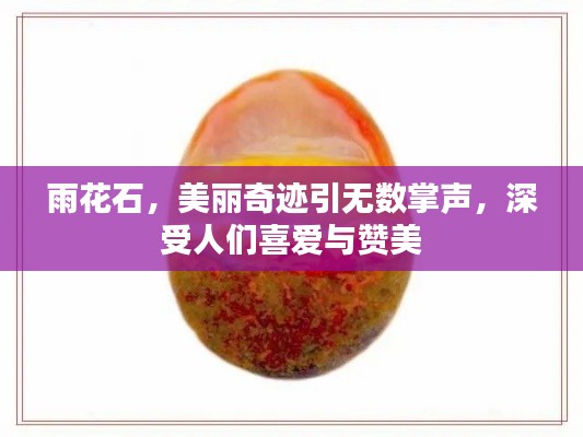 纲举目张