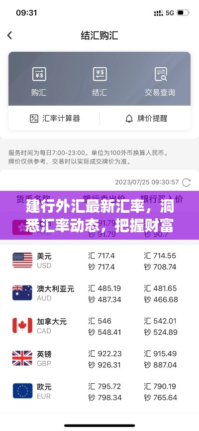建行外汇最新汇率,洞悉汇率动态,把握财富脉搏