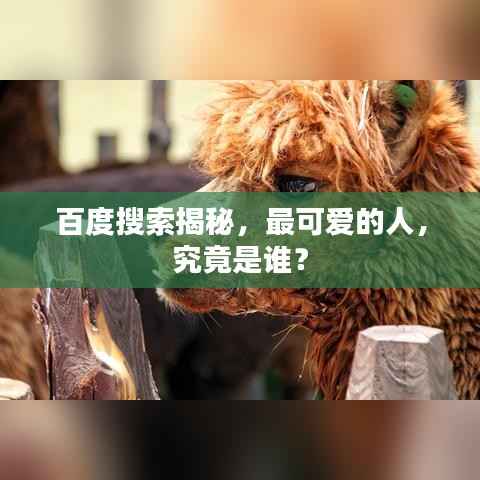 百度搜索揭秘,最可爱的人,究竟是谁?