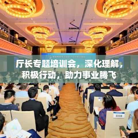 厅长专题培训会,深化理解,积极行动,助力事业腾飞