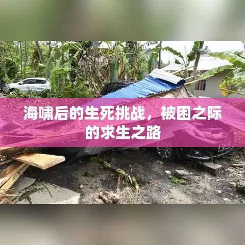 海啸后的生死挑战,被困之际的求生之路